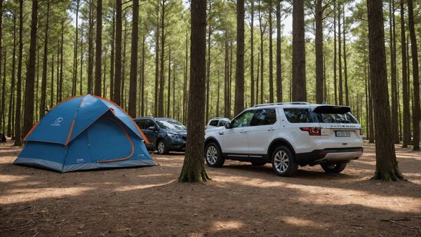 Découvrez le camping familial idéal près de royan